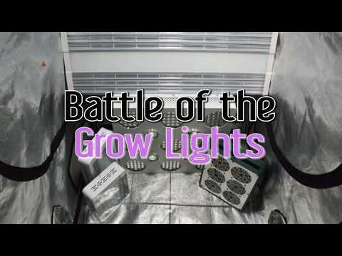 Growing Indoors with LEDs