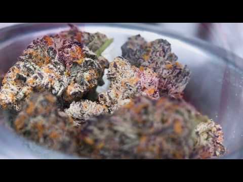 High Times Cannabis Cup Central Valley 2018 Recap