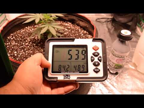 Co2 In Home Grows