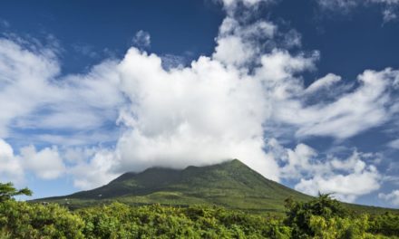 Caribbean Nation St. Kitts and Nevis Announces Reform in Cannabis Laws