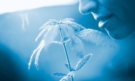 Grow Your Greatest: Tips & Tricks for Massachusetts Cannabis Growers