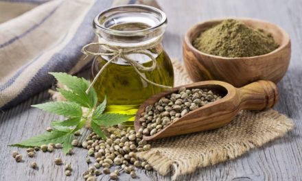 Researchers In Canada Studying Hemp Protein To Treat Hypertension