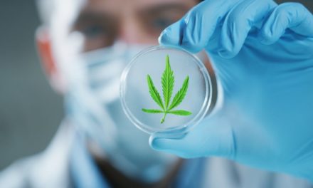 Alabama Lawmakers Pushing to Legalize Medical Marijuana