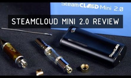 SteamCloud Mini 2.0 Oil and Wax Vape Review