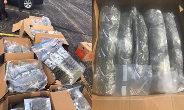 Indiana State Trooper Seizes $3.5 Million Worth of Cannabis, Vapes