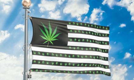 National Poll Finds 61 Percent of Americans in Favor of Legalizing Marijuana