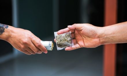 Statistics Canada Finds Canadians Spend Billions on Weed—From the Illicit Market