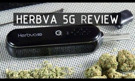 Herbva 5G Dry Herb Vaporizer Review