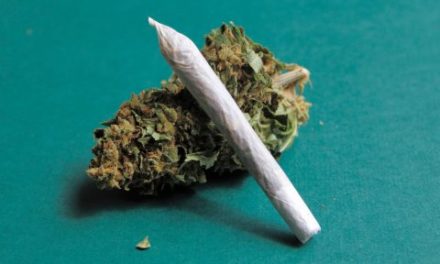 Wisconsin Legalization Would Save Lives, Bring $1.1B Benefit, Study Says