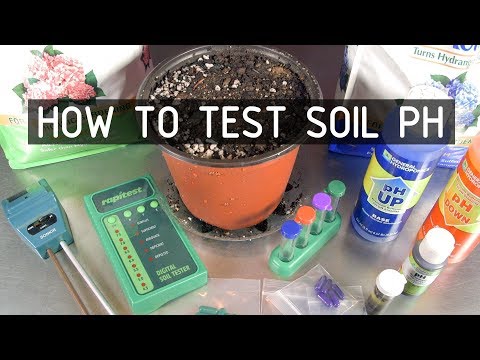 How to Test & Adjust Soil PH for Growing Cannabis Plants ( Seeds, Soil & Sun: Season 2 Ep 2)