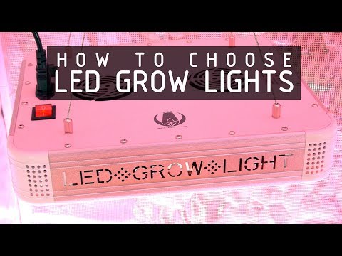 How To Choose LED Lights To Grow Cannabis: Cannabasics #108