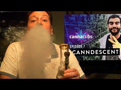 SHOUTOUT: CannaCribs Episode 7 OUT NOW!!! Most Expensive Cannabis in USA