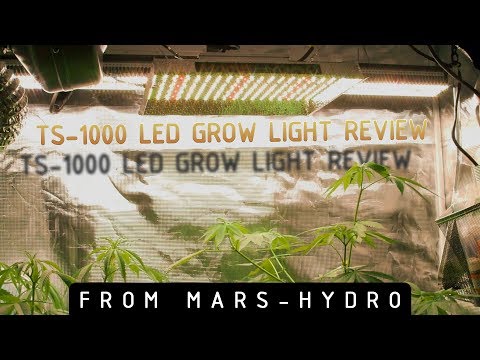 Mars-Hydro TS-1000 LED Grow Light Review