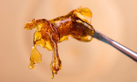 Weed Concentrates May Be Worth More Than Grubhub by 2026