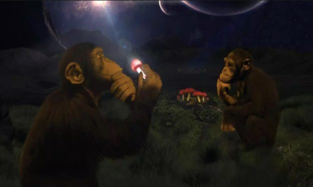 WTF Is the “Stoned Ape Theory”?