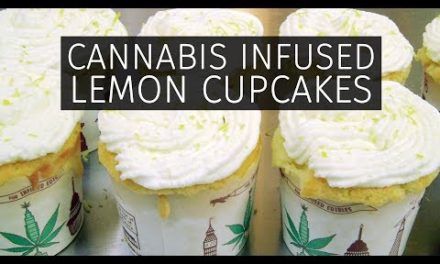 Cannabis Infused Lemon Cupcakes Recipe: Infused Eats #64