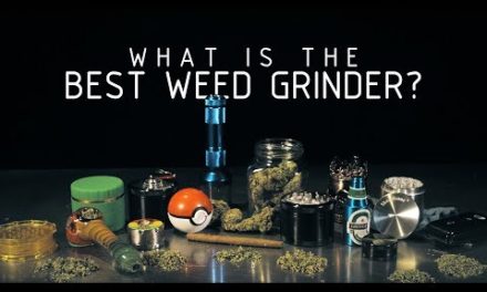 What is The Best Weed Grinder? (For your cannabis needs): Cannabasics #112