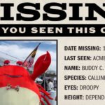 Missing Crab Report: This Weed Company Wants Their Mascot Back