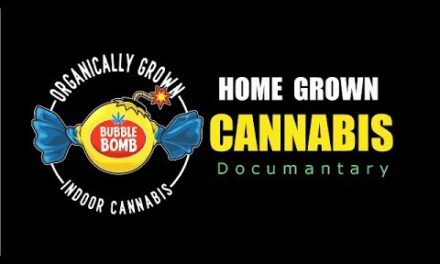 Home Grown Cannabis Documentary day1-5